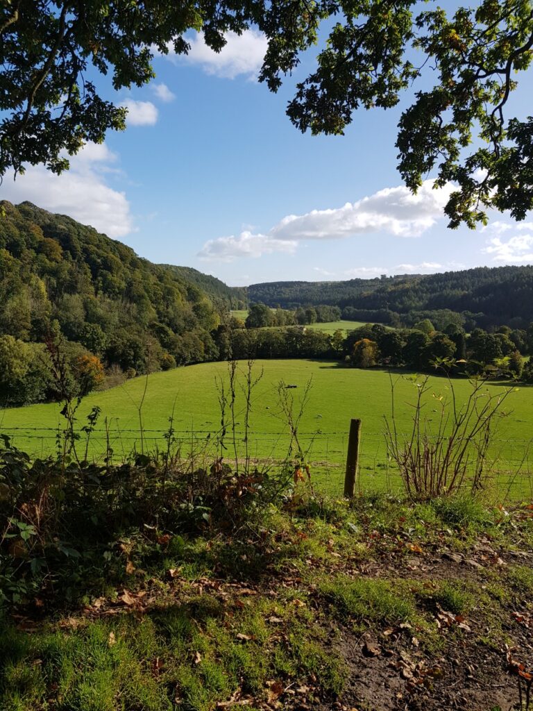 View of the hills