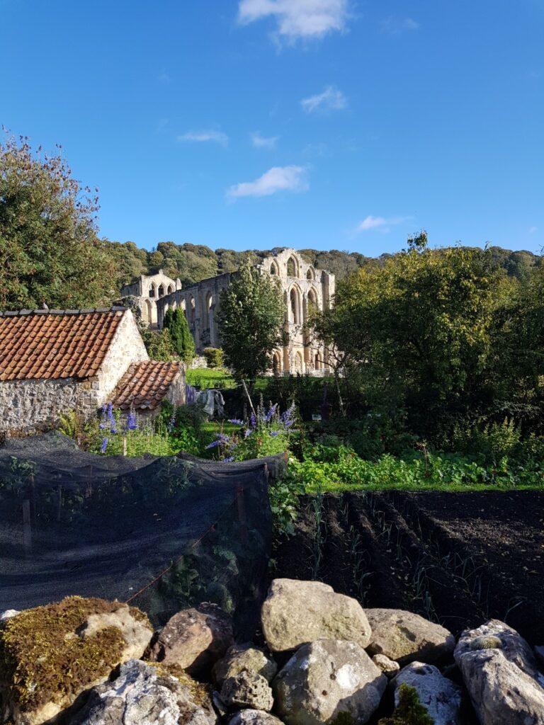 Images of Riverux Abbey