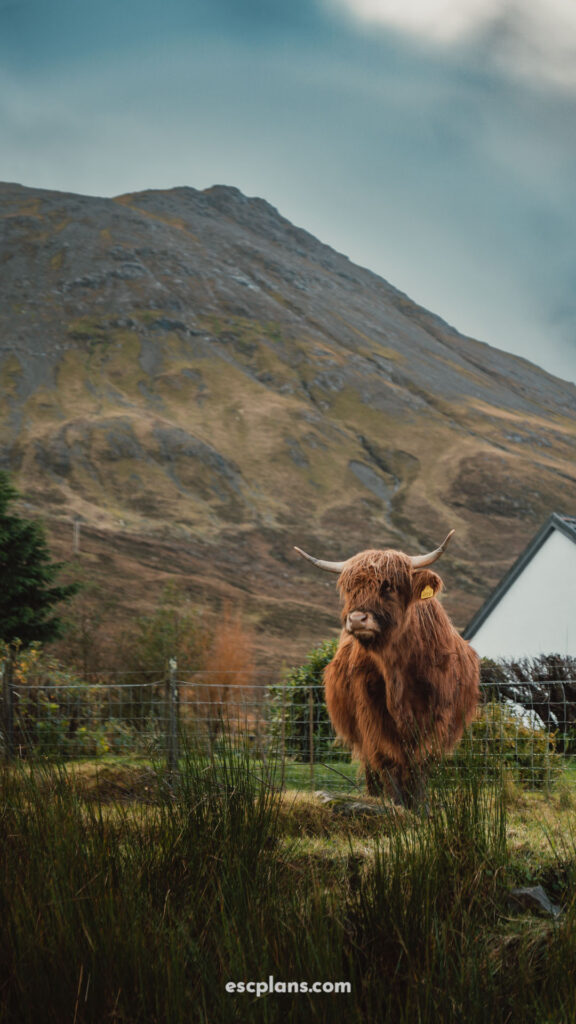 EscPlans Isle Of Skye Scotland00003