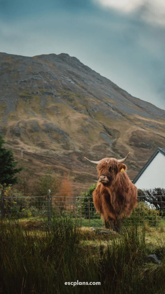 EscPlans Isle Of Skye Scotland00003