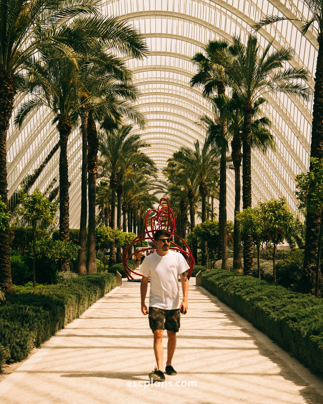 The 10 Best Things To Do in Valencia