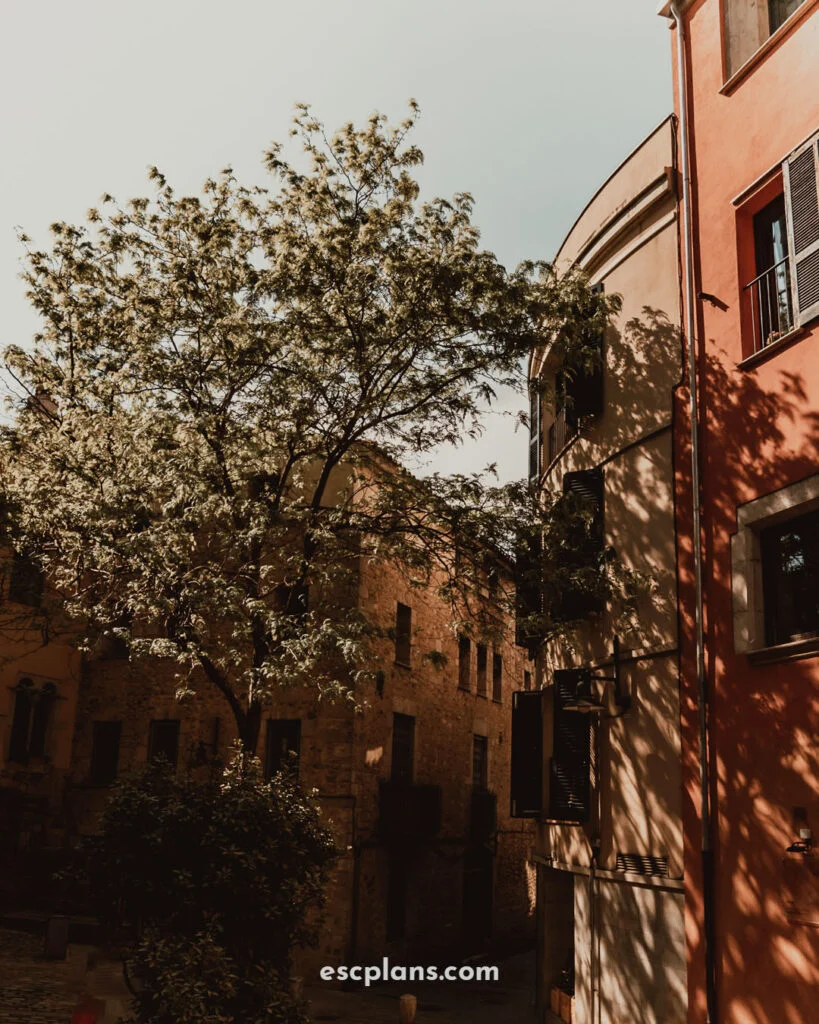 van life europe exploring Girona, Spain